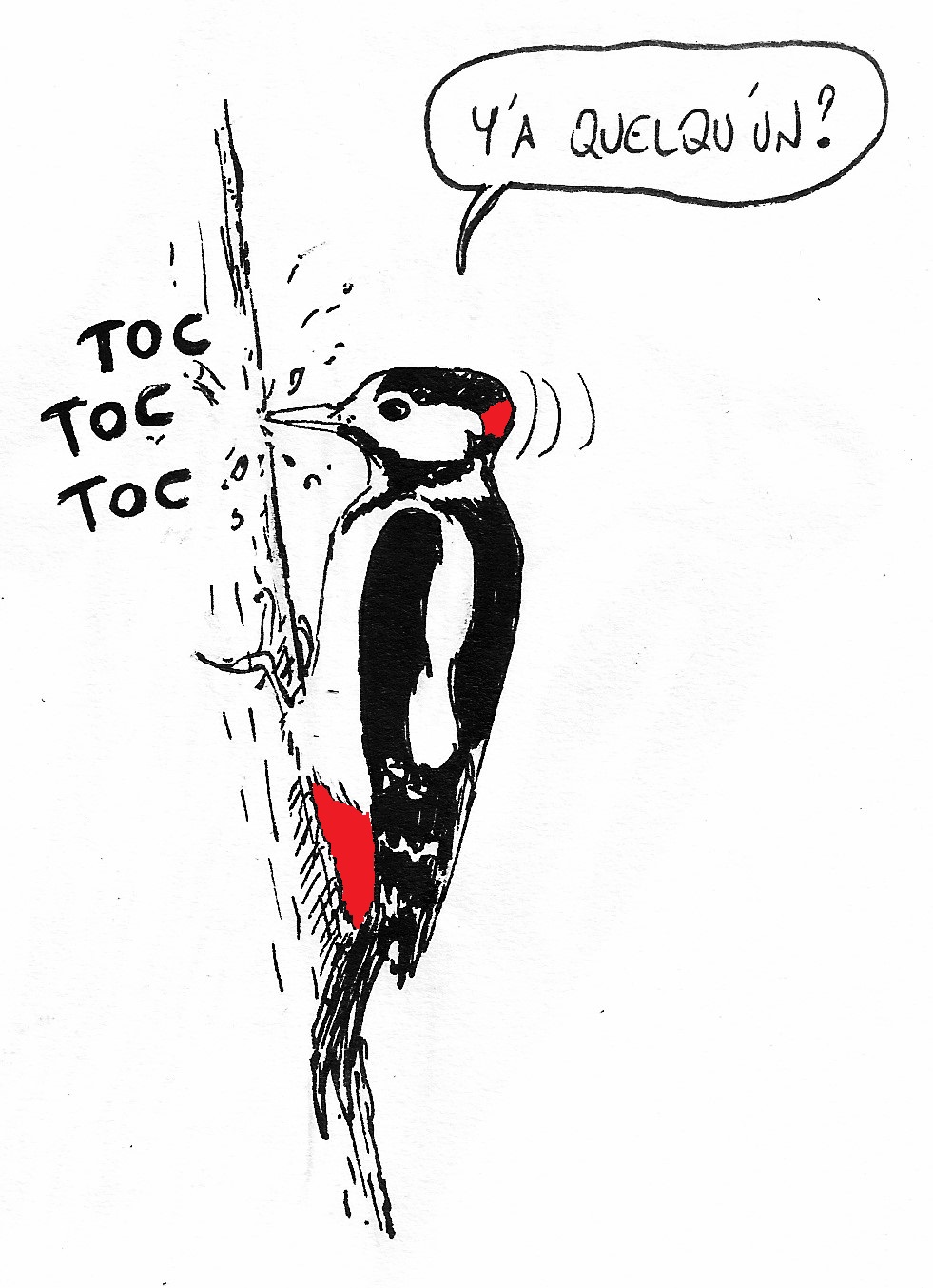 Toc_Toc_Toc_R.jpg